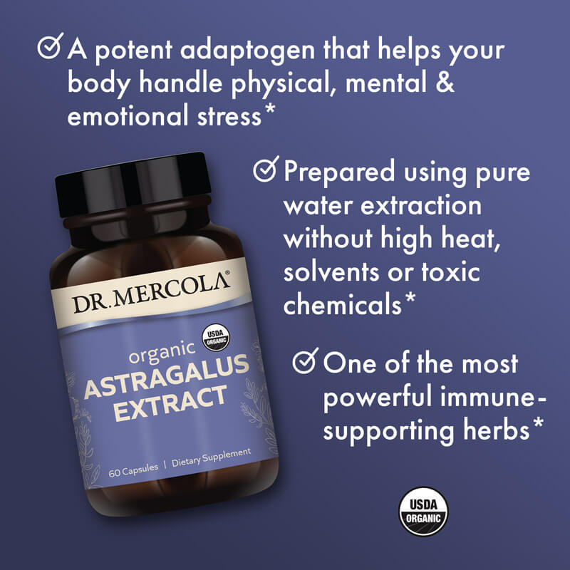 Mercola Astragalus 60töflur - Image 3