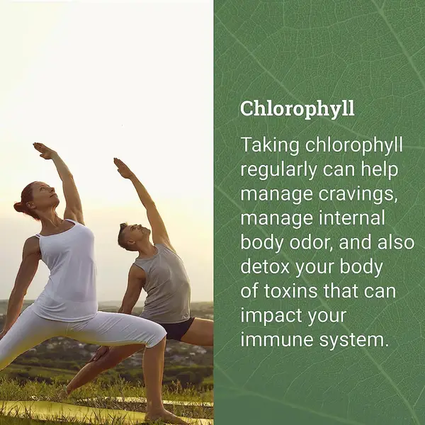 EH Liquid Chlorophyll 2oz - Image 2