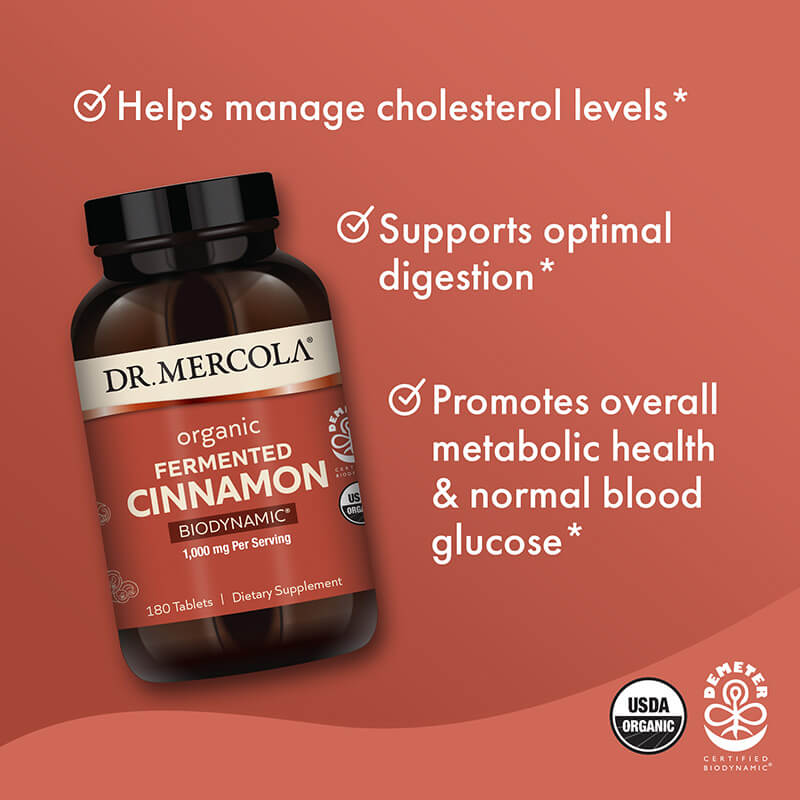 Mercola Lífrænn gerjaður kanill 3mán - Image 3