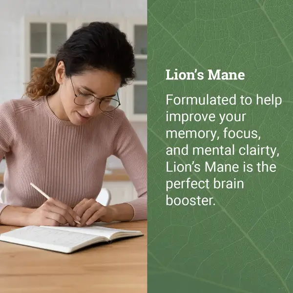 EH Lion´s Mane 1000mg 120hylki - Image 2