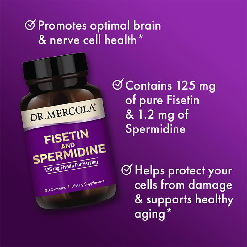 Mercola Fisetin & Spermidine 30 hylki - Image 3
