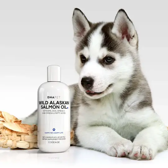 CodeAge DNAPet Wild Alaskan Salmon Oil - Image 2