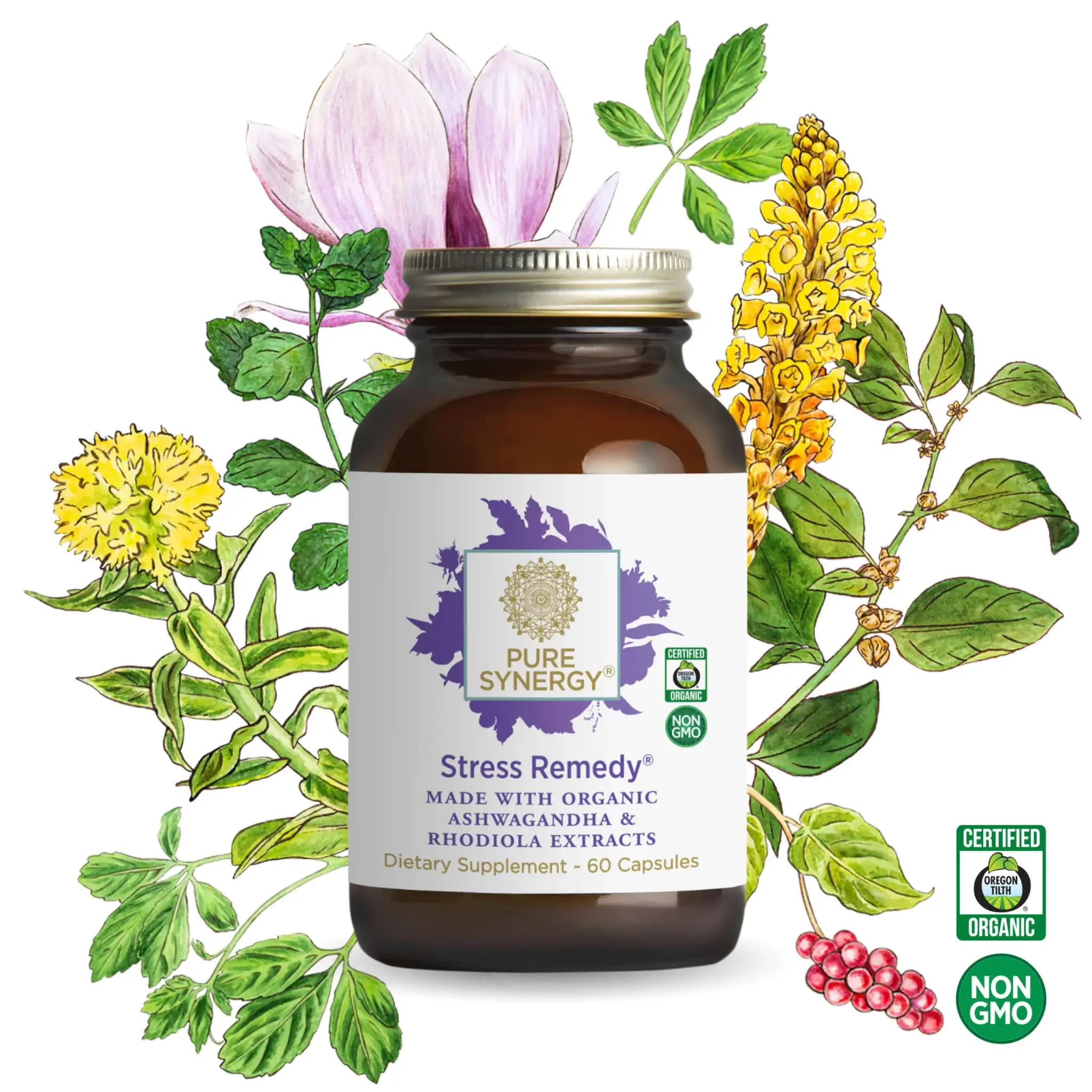 PS Stress Remedy 60hylki