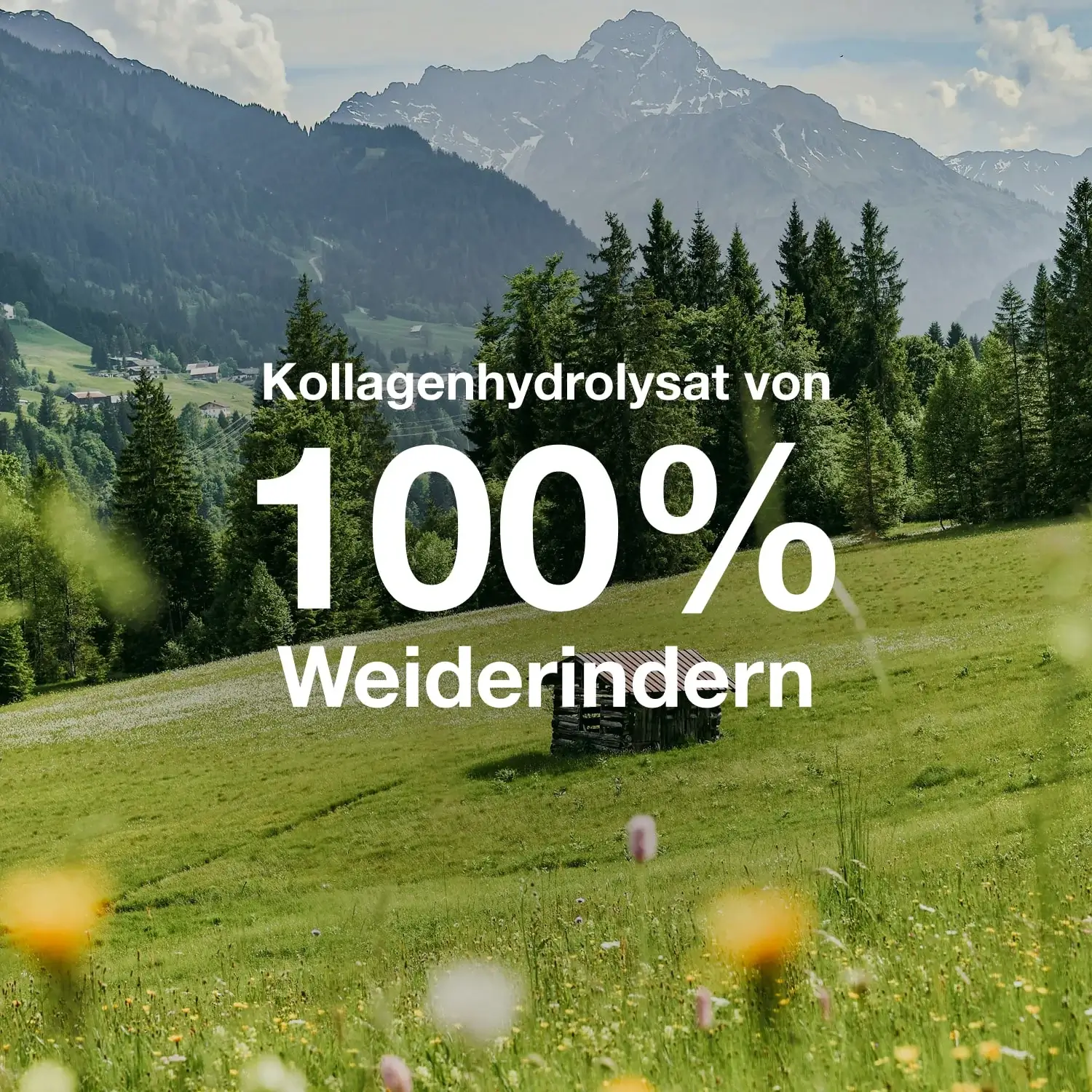 Orgainic Kollagen ultrapure 1-2-3 700gr - Image 2
