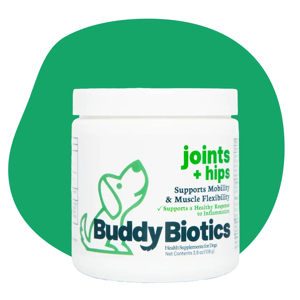 BB Joints + Hips Dogs 108gr