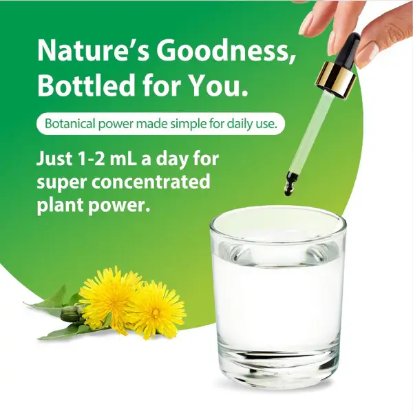 RL Dandelion Root 59ml - Image 2